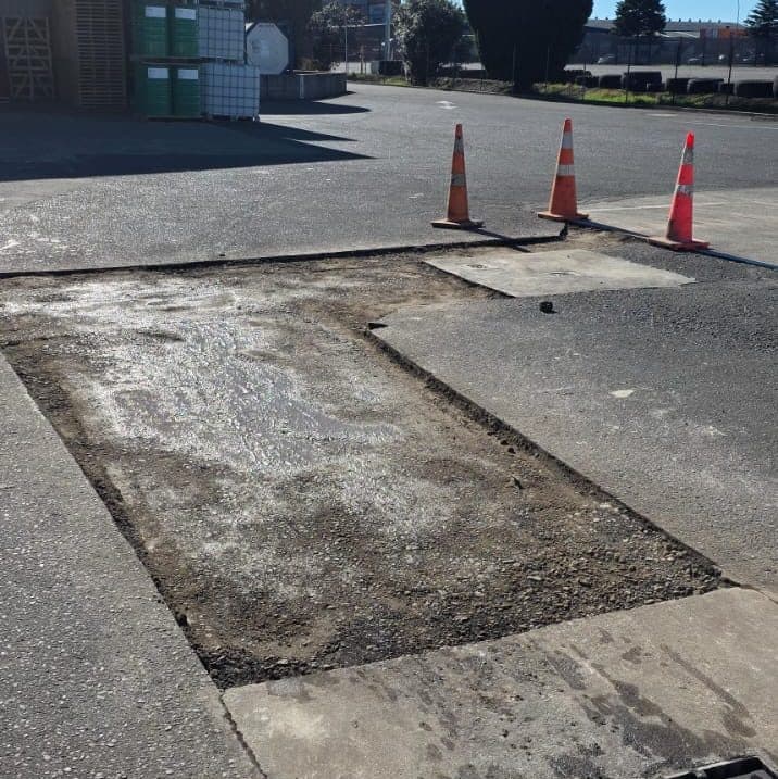 Before image